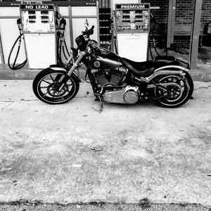 Meet your Posher, William